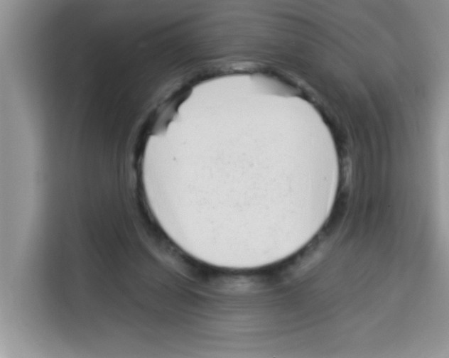 X0000113020254200910081205