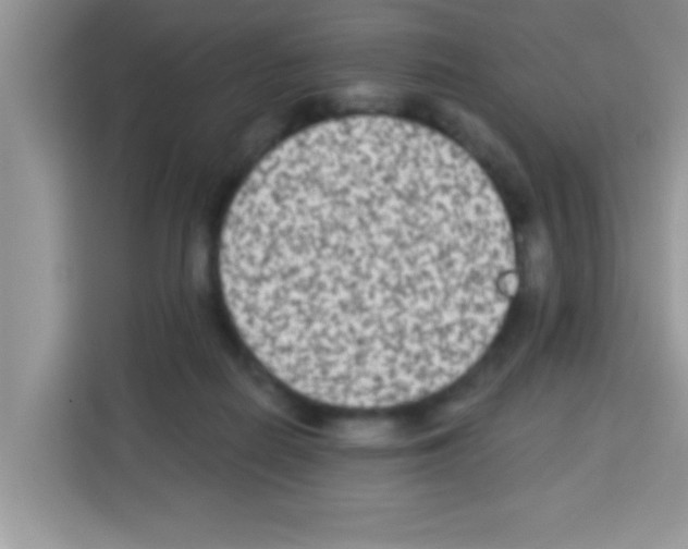 X0000113020266200910081206