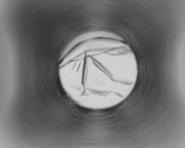 X0000113020276200910081206