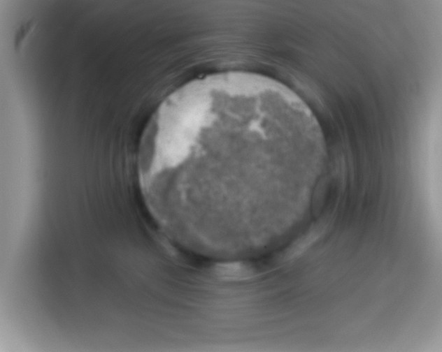 X0000113020281200910081206