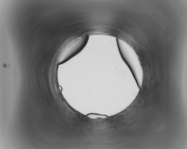 X0000113020289200910081205