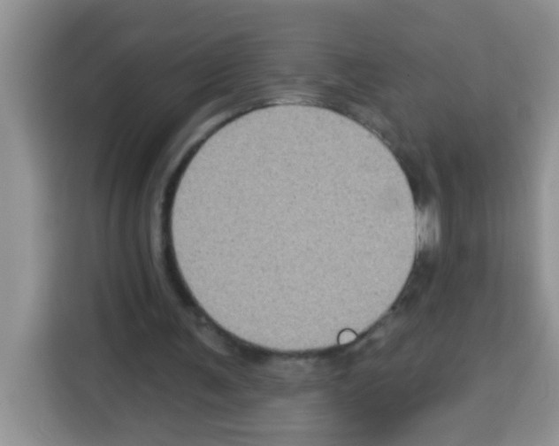 X0000113020291200910081205