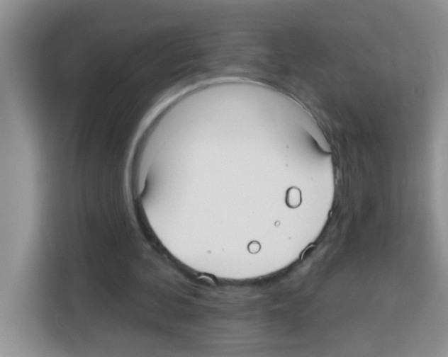 X0000113020292200910081205