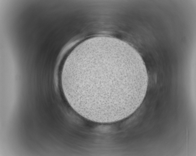 X0000113020294200910081205