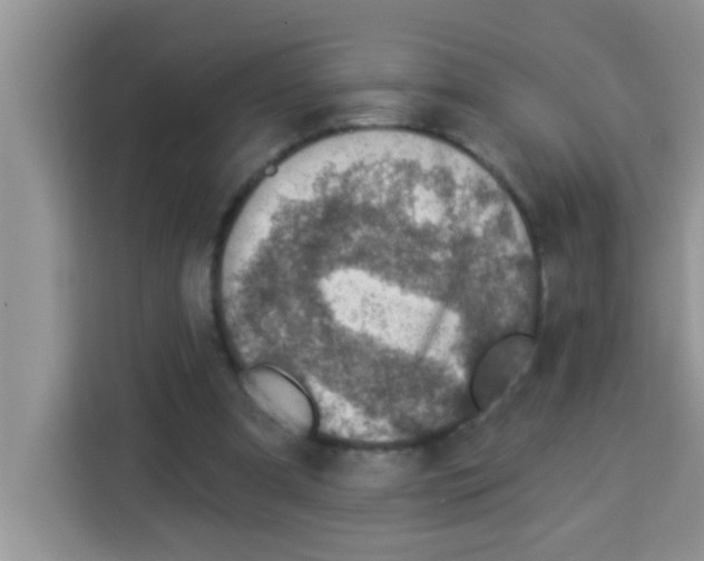 X0000113020297200910081205