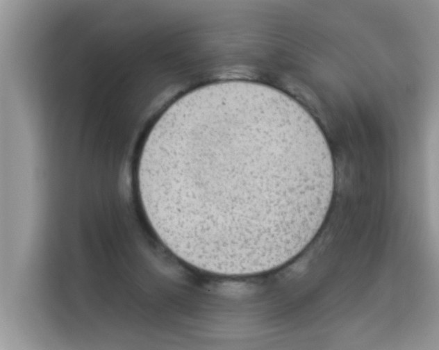 X0000113020298200910081205