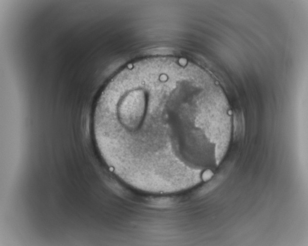 X0000113020301200910081205