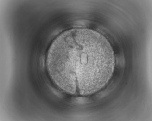 X0000113020302200910081205