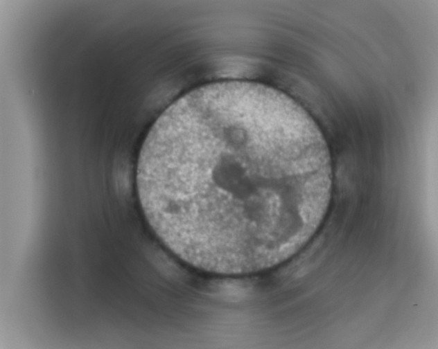 X0000113020305200910081205