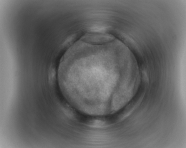 X0000113020308200910081205