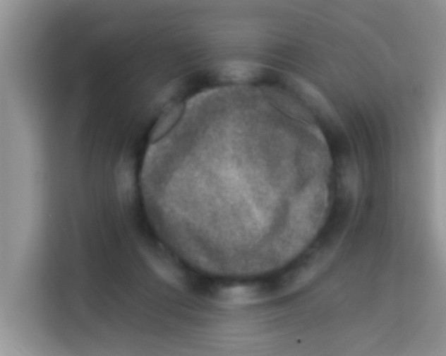 X0000113020312200910081205