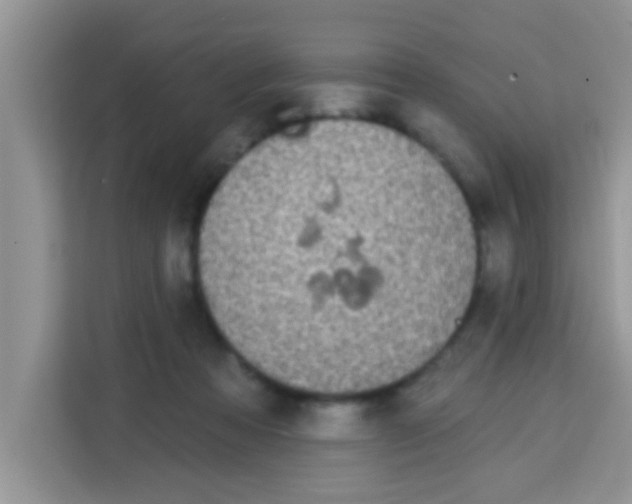 X0000113020313200910081205