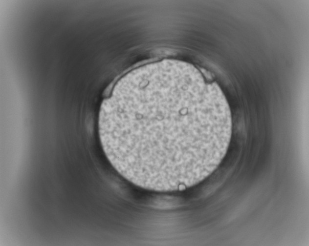 X0000113020315200910081205