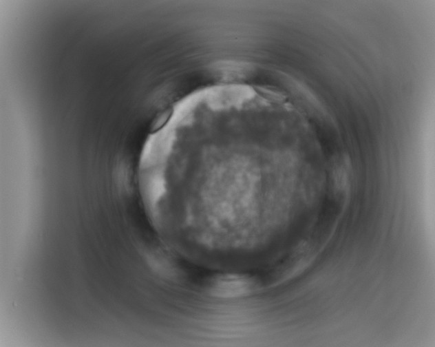 X0000113020316200910081205