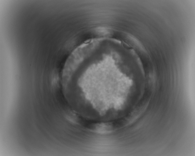 X0000113020320200910081205