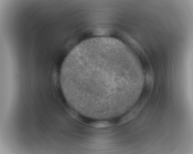 X0000113020322200910081205