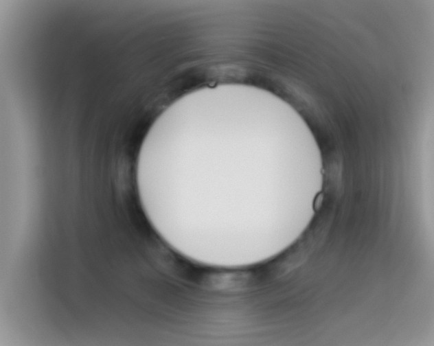 X0000113020323200910081205