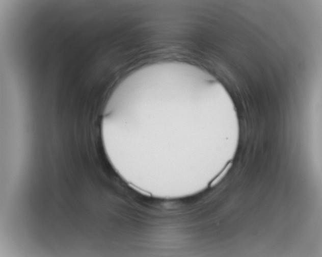 X0000113020324200910081205