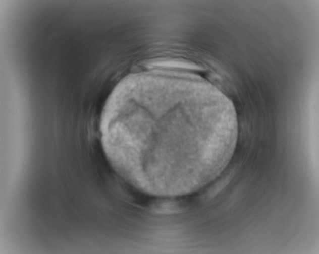 X0000113020325200910081205