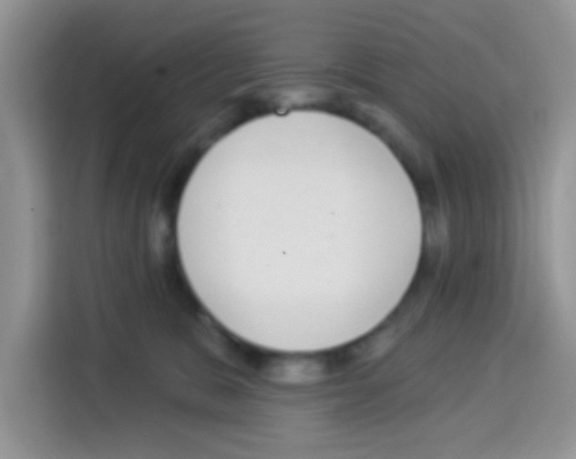 X0000113020327200910081205