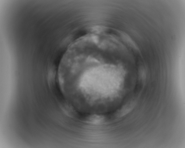 X0000113020328200910081205