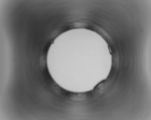 X0000113020329200910081205