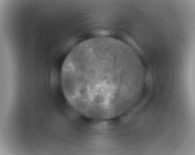 X0000113020330200910081205