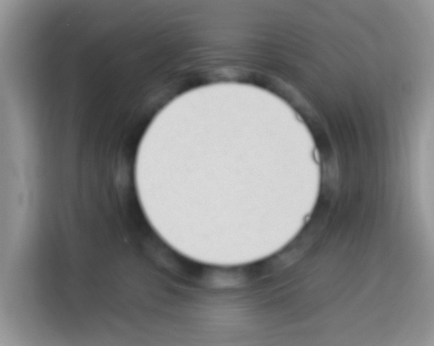 X0000113020331200910081205