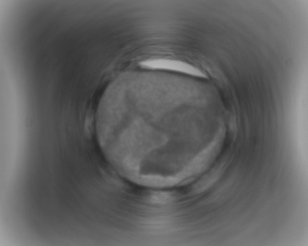 X0000113020332200910081205