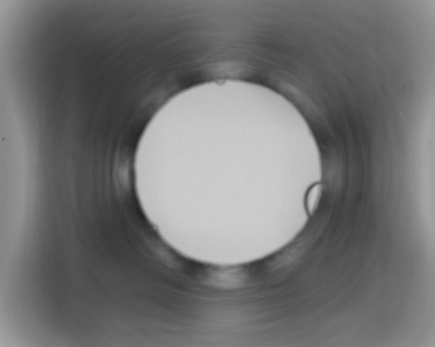 X0000113020334200910081205