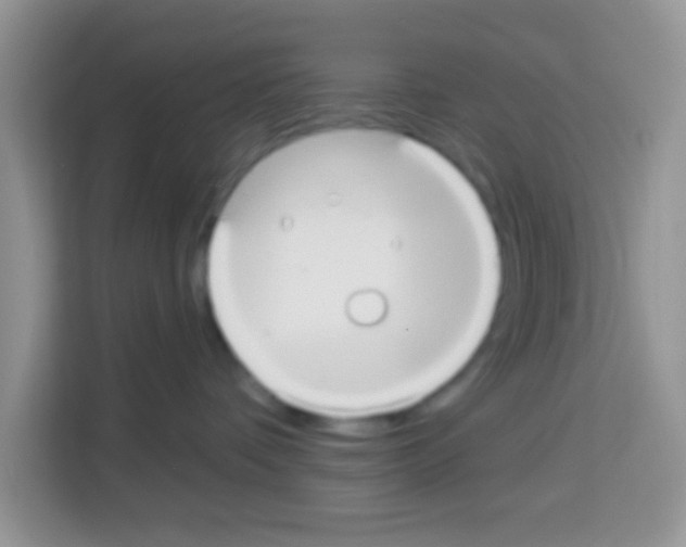 X0000113020336200910081205