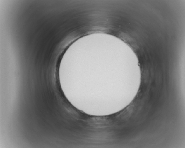 X0000113020338200910081204