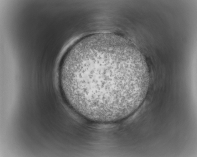 X0000113020342200910081204