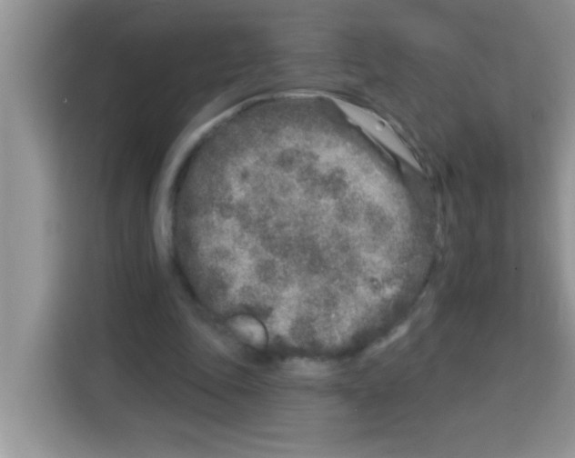 X0000113020343200910081204