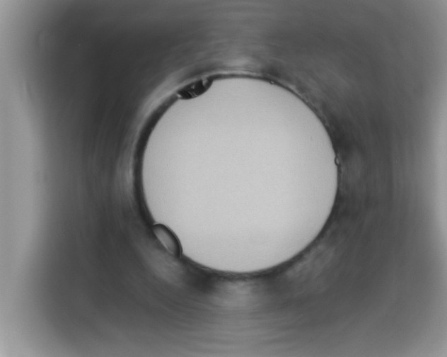 X0000113020344200910081204