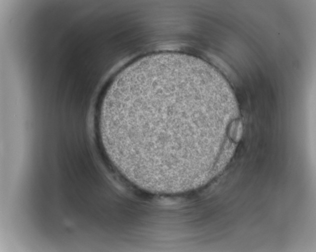 X0000113020346200910081204