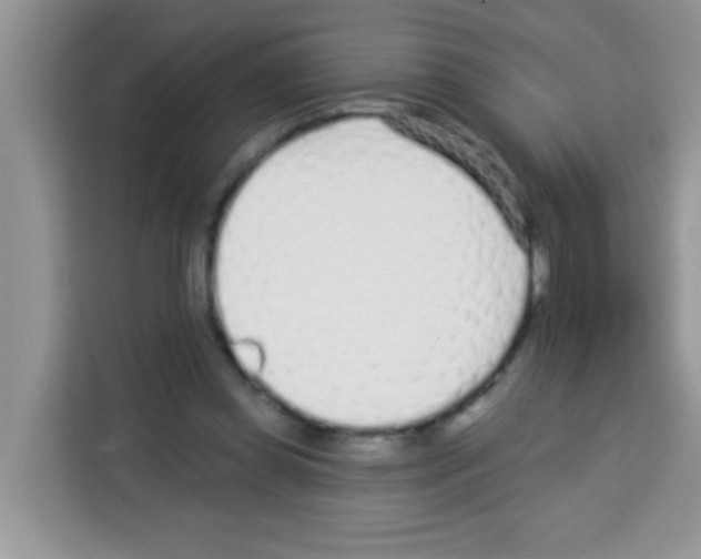 X0000113020349200910081204