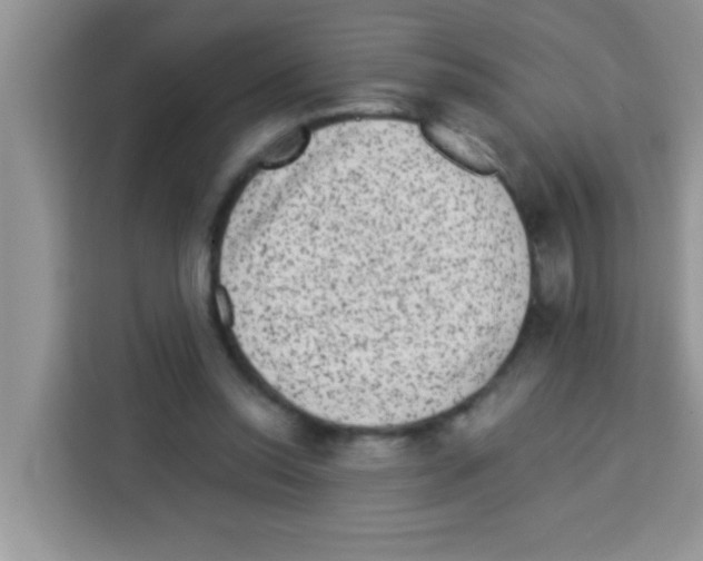 X0000113020350200910081204