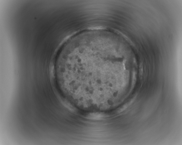 X0000113020351200910081204