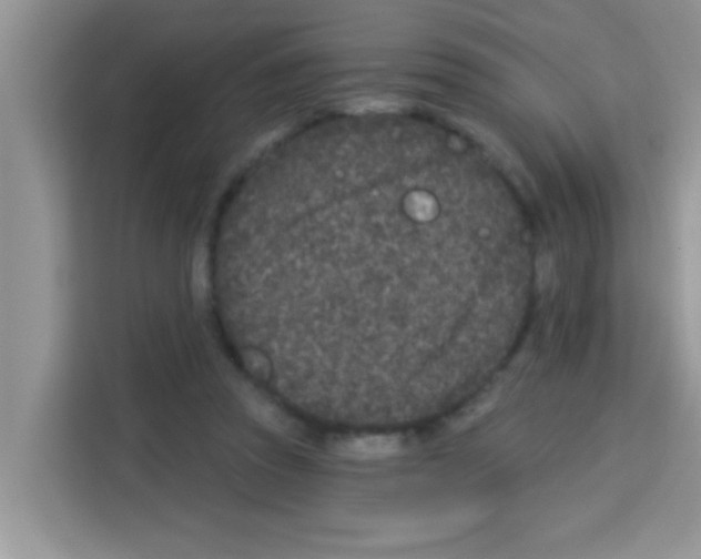 X0000113020353200910081204