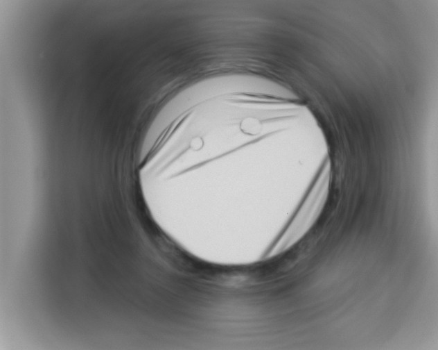 X0000113020356200910081204