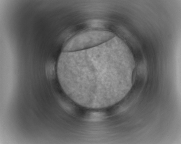 X0000113020360200910081204