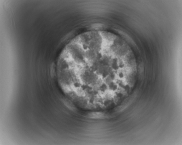 X0000113020361200910081204