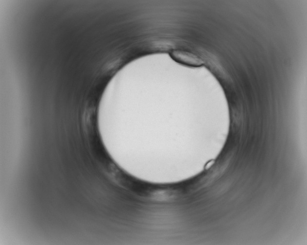 X0000113020364200910081204