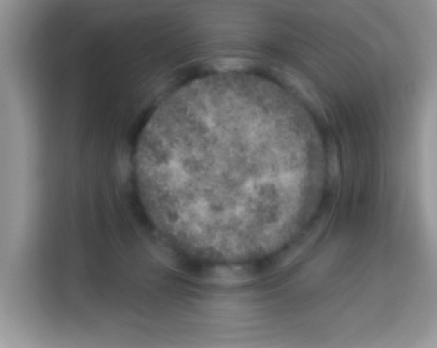 X0000113020367200910081204