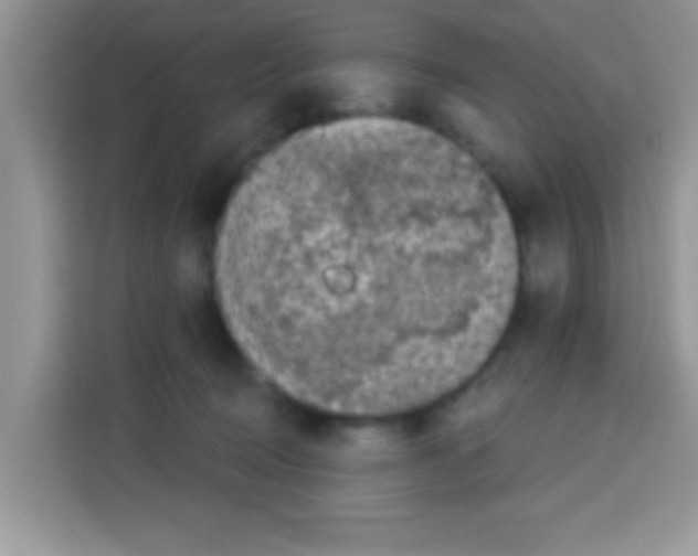 X0000113020370200910081204