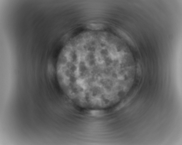 X0000113020371200910081205