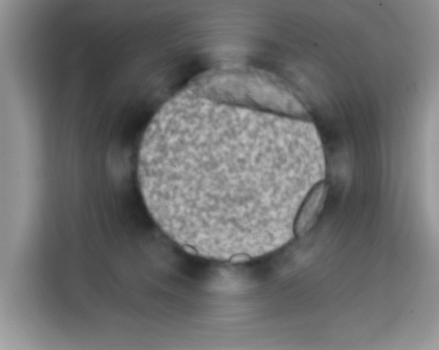 X0000113020372200910081205