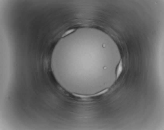 X0000113020376200910081205