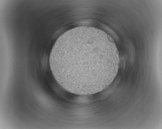 X0000113020381200910081205